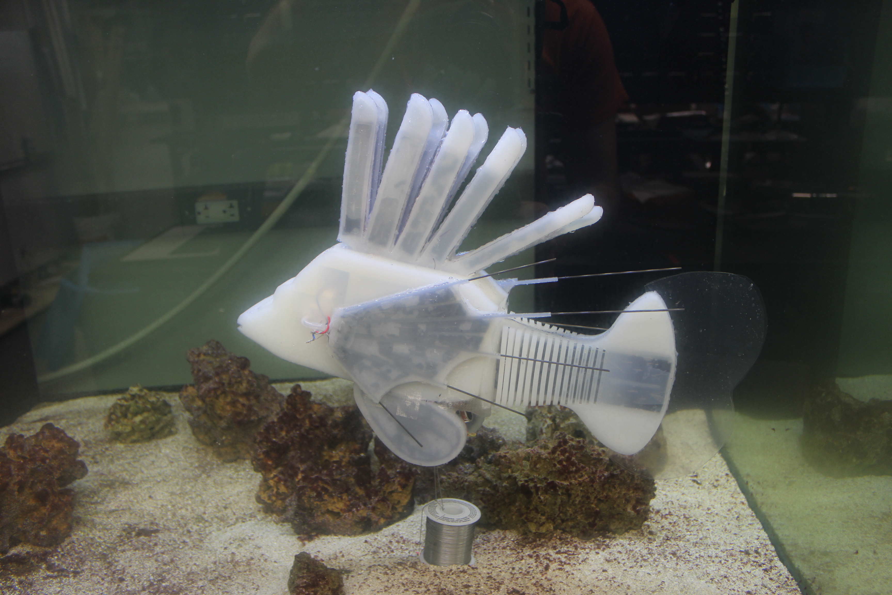 Assembled soft robotic fish with gray areas showing redox flow battery half cells and catholyte storage volume. Credit: James Pikul; pikul@seas.upenn.edu 