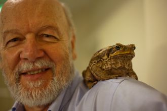 Professor Rick Shine with a female cane toad