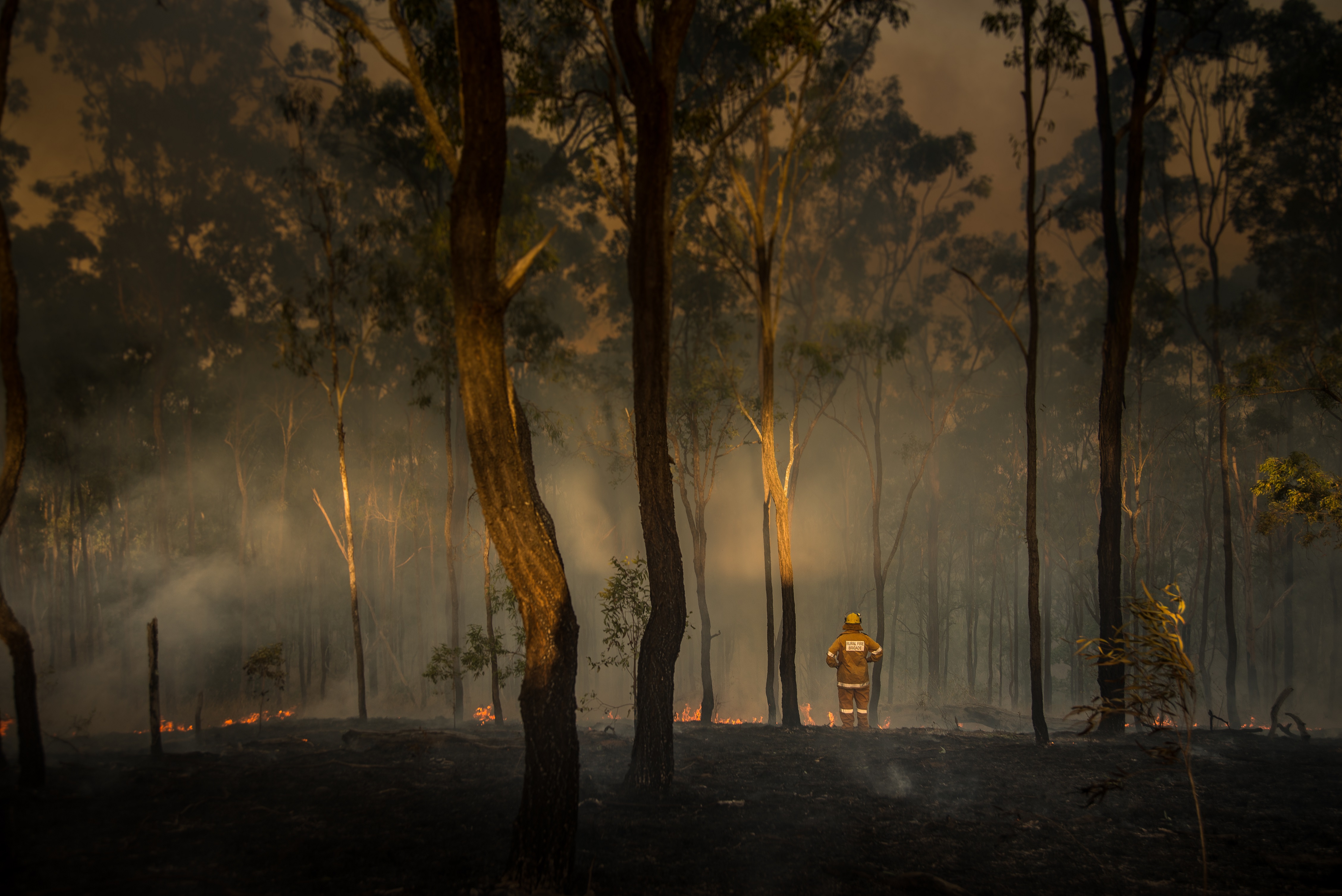 Scene from a Queensland Bushfire, September 2019. Getty Images