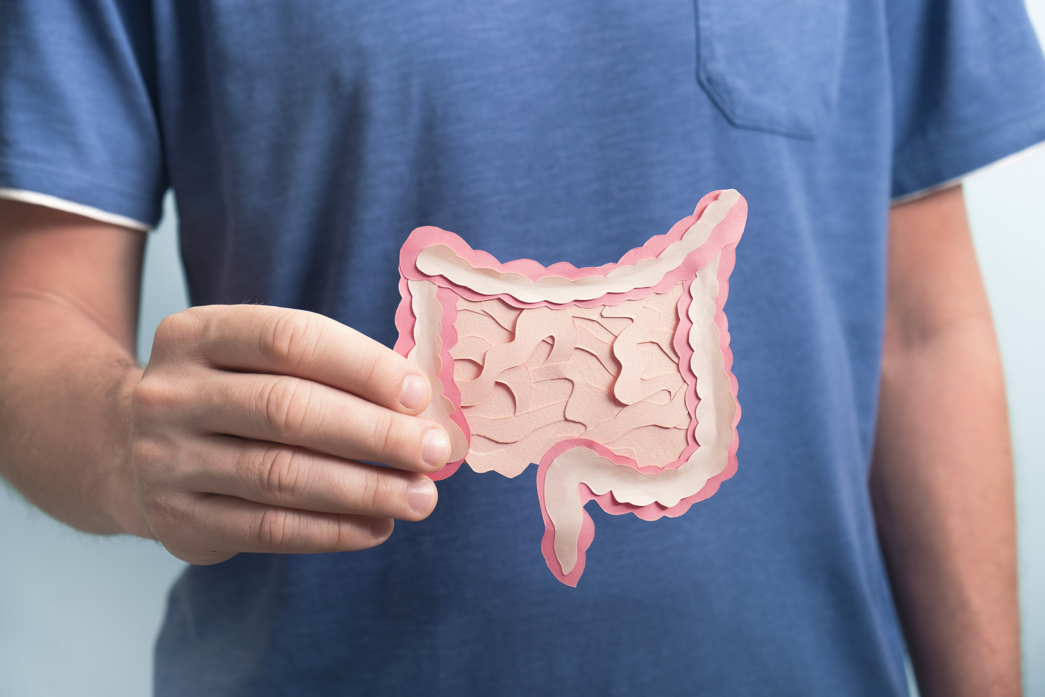 How the gut may help to drive COVID19 Scimex