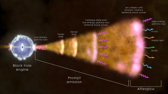 How a gamma ray burst forms
