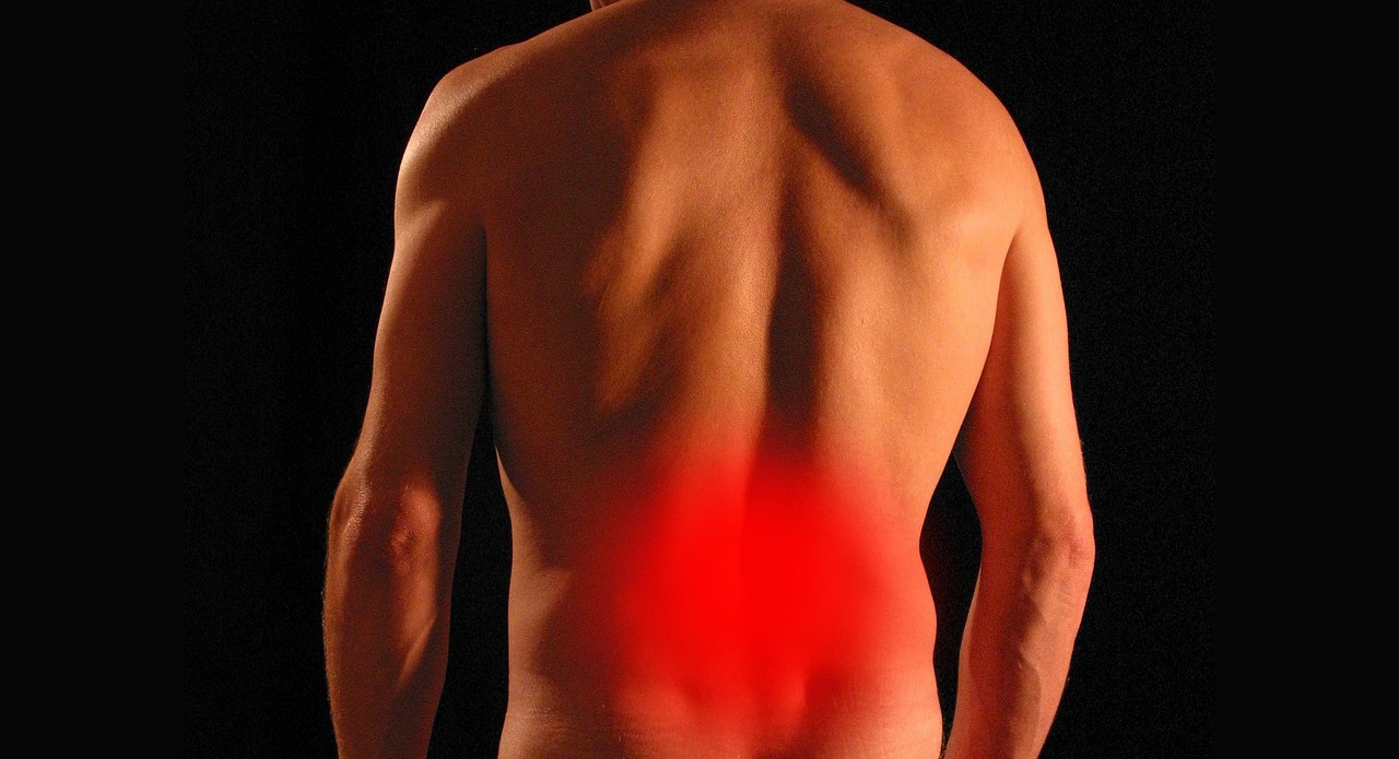 CC-0. https://pixabay.com/photos/back-pain-spine-injury-backache-5248830/