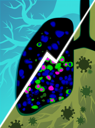 Awakening of dormant cancer cells