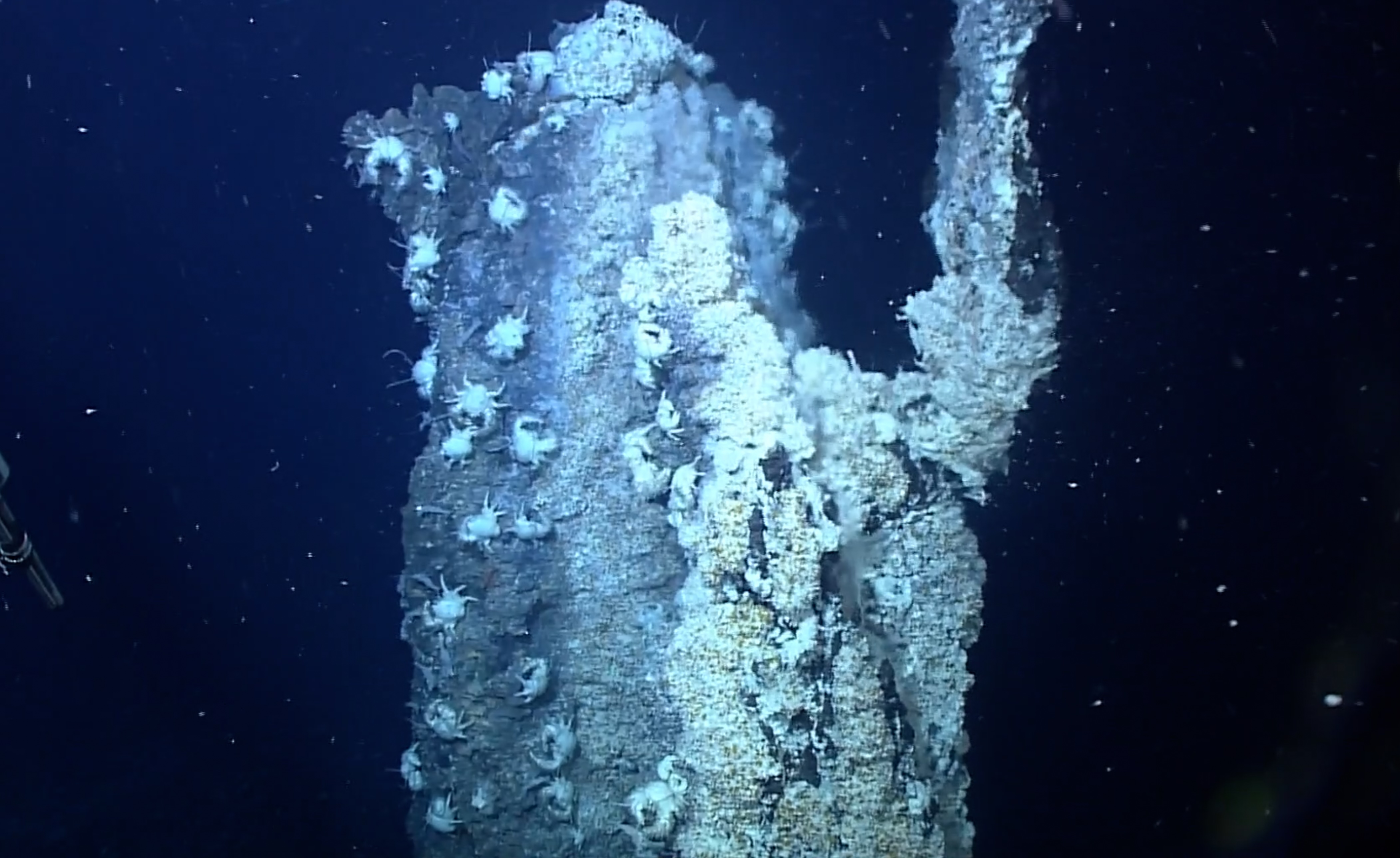 Wang H, et al., 2025, PLOS Biology, CC-BY 4.0