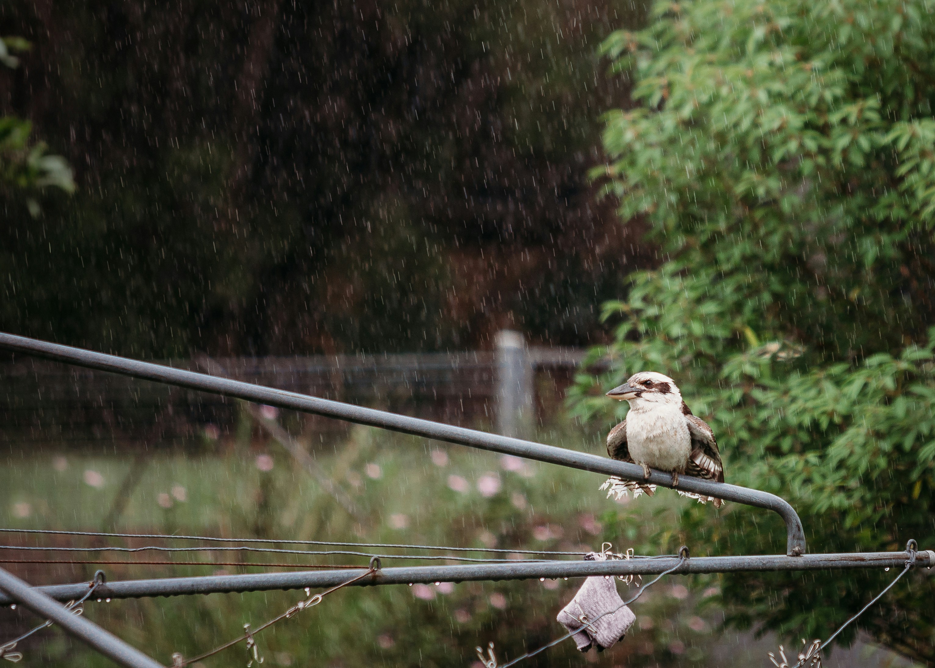Photo by Sandie Peters on Unsplash