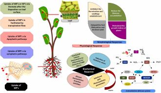 Sources of micro and nanoplastics in agriculture