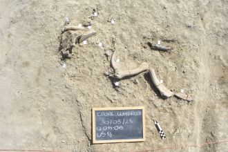 Excavation at Casal Lumbroso, Italy