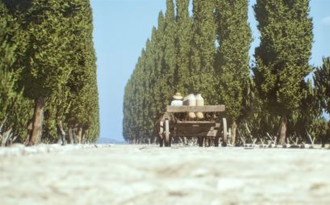 If all roads lead to Rome, those roads are 100,000km longer according to international researchers, who have built a digital map of roads throughout the Roman Empire at around 150 CE. The team used archaeological and historical records, topographic maps, and satellite imagery to build the Itiner-e map, which found 299,171 kilometers of roads — an increase from a previous estimate of 188,555 kilometres — covering almost four million square kilometres. The authors suggest that Itiner-e represents the most detailed and comprehensive openly accessible digitisation of the Empire’s roads and that it also highlights gaps in current knowledge of the road system.