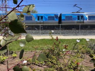 A Woody Meadow next to trainline in Melbourne