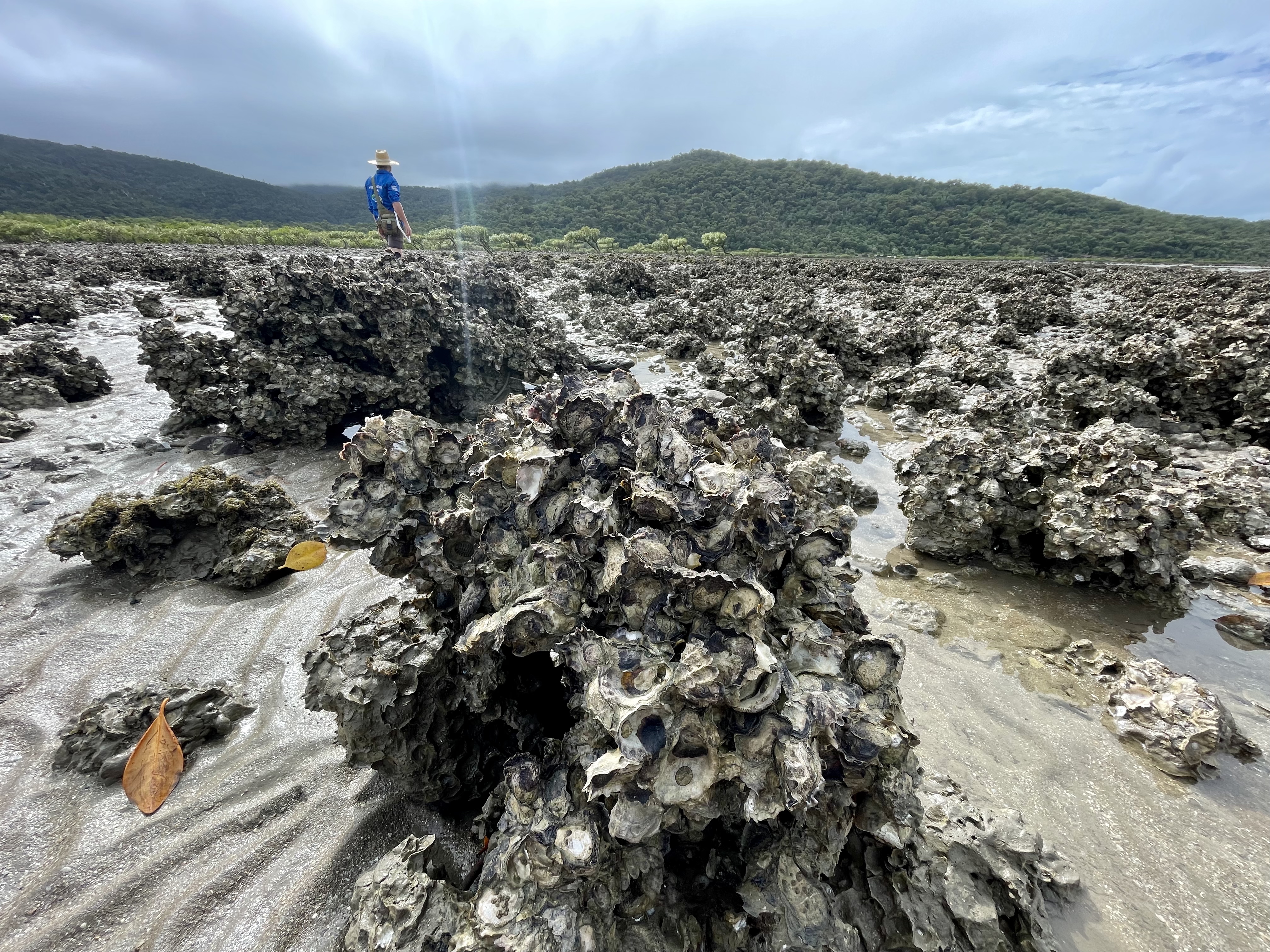 Credit: Marina Richardson