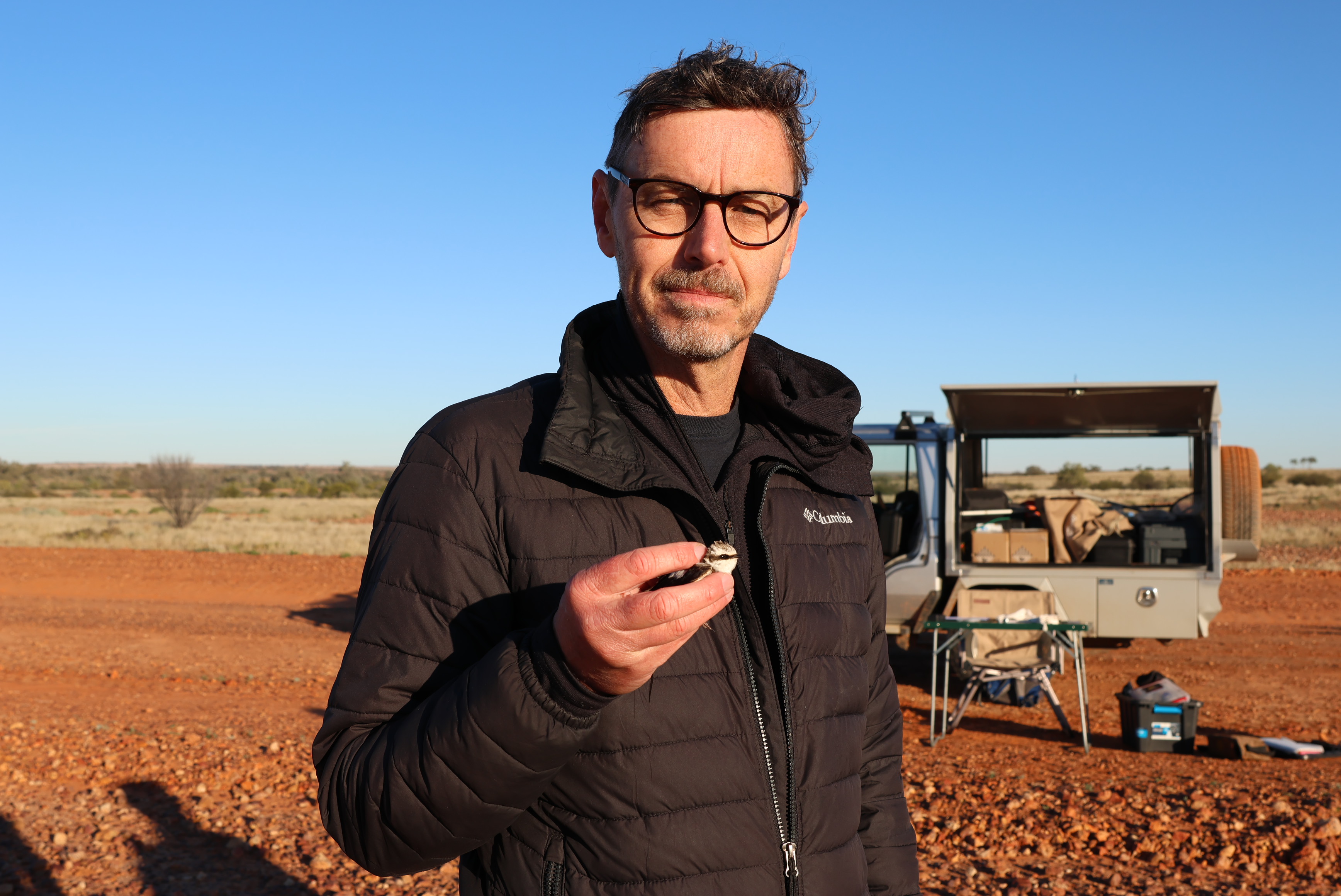 Senior author Associate Professor Christopher Turbill, from the University’s School of Science with a white-backed swallows