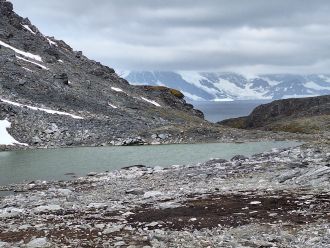 Recently re-exposed mosses, 2024