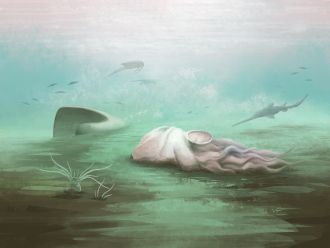 Reconstruction of a Paleocadmus decaying