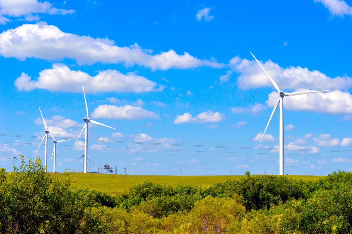 Wine turbines