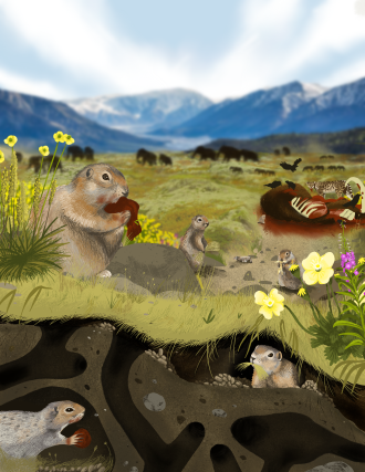 An artist’s reconstruction showing Arctic ground squirrels scavenging meat