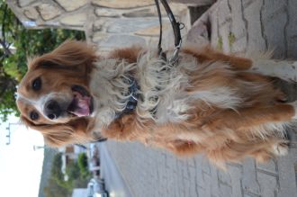 An adorable study participant