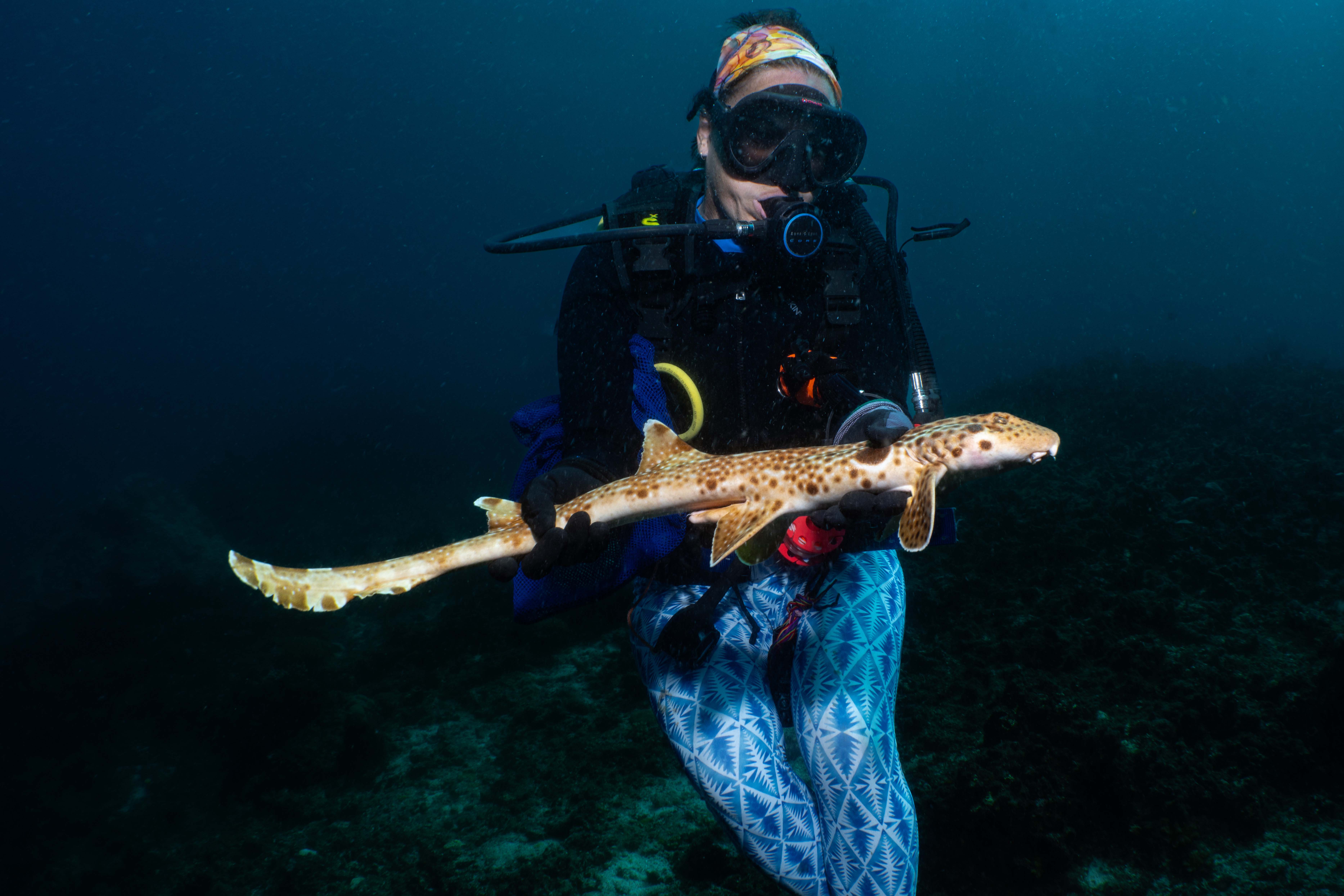 Chris Dudgeon of UniSC with shark named after her. Photo Nesha Ichida
