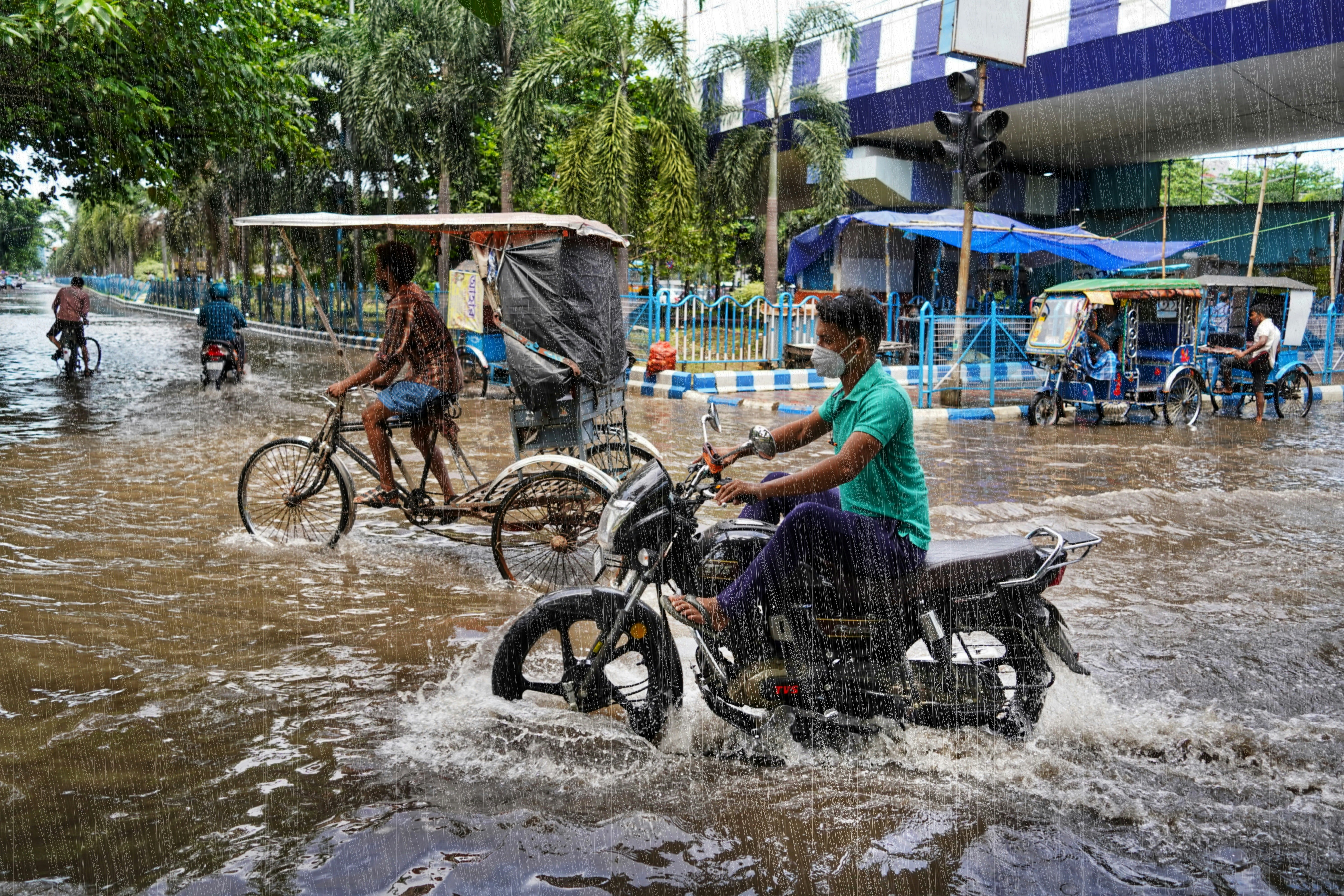 Photo by Dibakar Roy on Unsplash