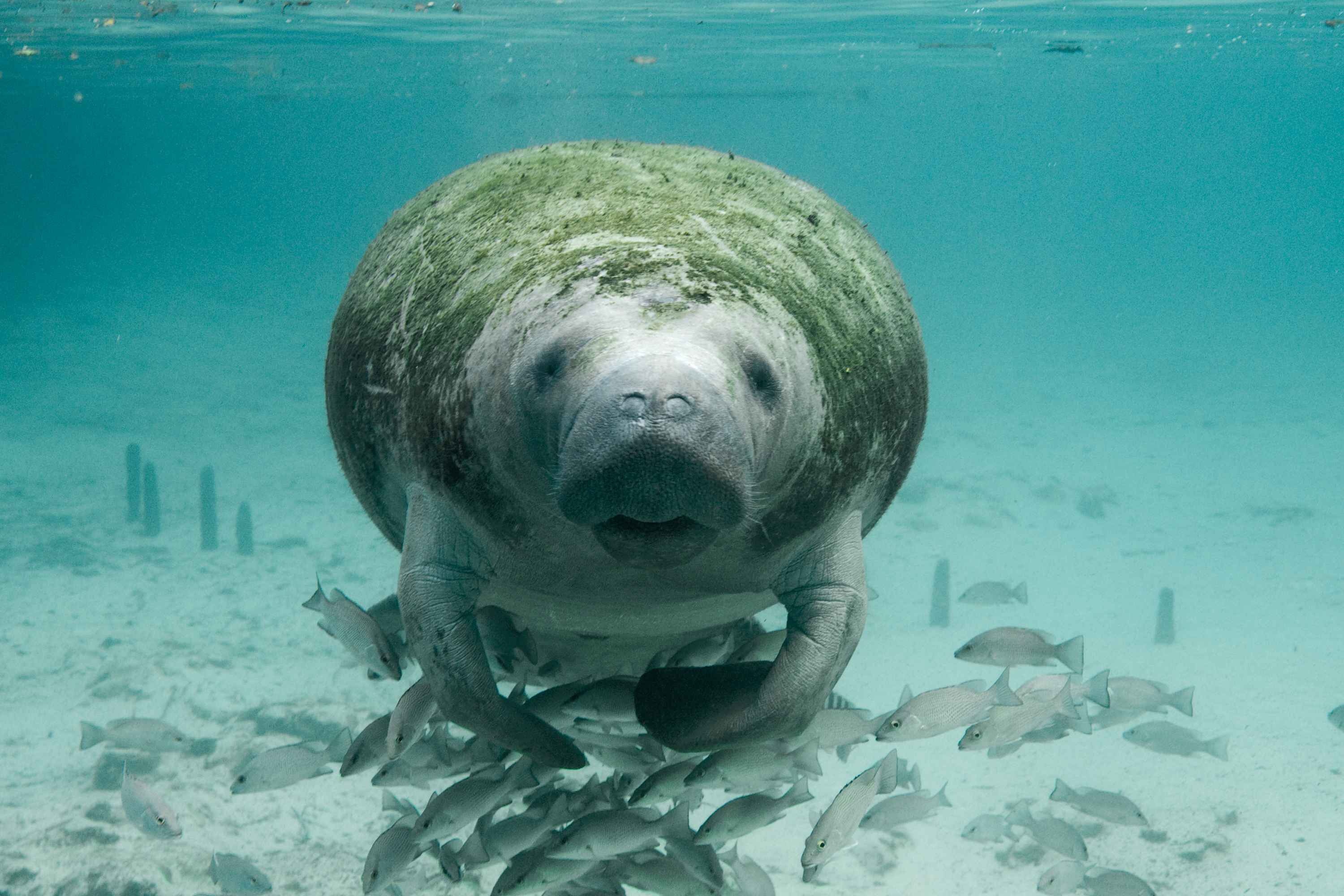 Image by PublicDomainImages from Pixabay