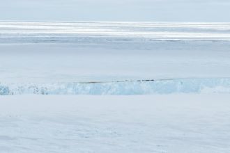 Emperor penguins gathered at the top of the iceberg “cliff”