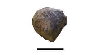 Figure 8b