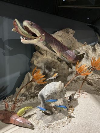 Diorama