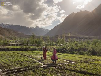  Two women tend their potato field in the Chipursan valley, Pakistan