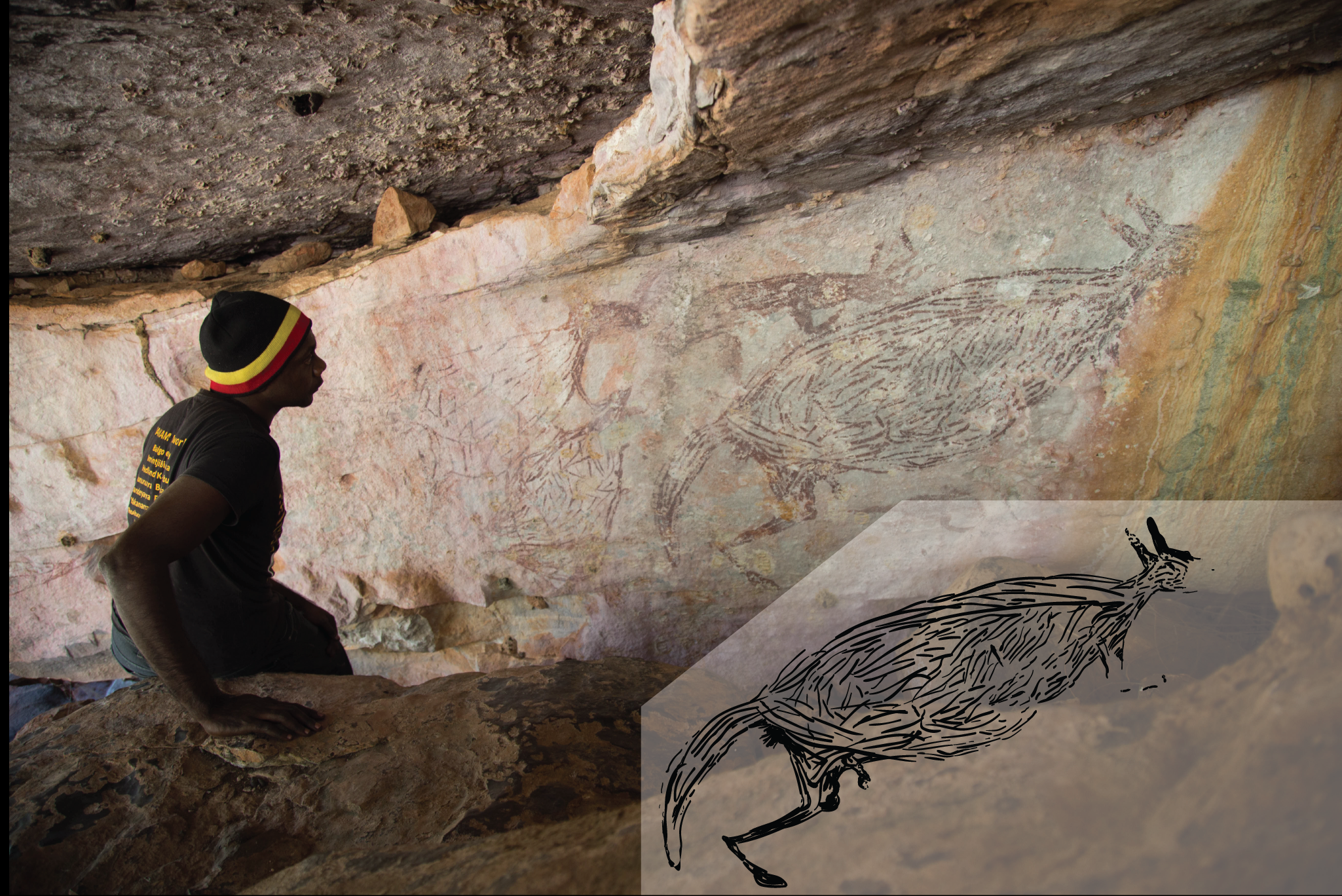 Traditional Owner Ian Waina inspecting a Naturalistic painting of a kangaroo, determined to be more than 12,700 years old based on the age of overlying mud wasp nests. The inset is an illustration of the painting above it. Photo: Peter Veth and the Balanggarra Aboriginal Corporation, Illustration: Pauline Heaney