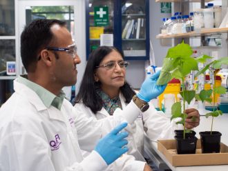 Professor Neena Mitter and Ritesh Jain say the spray targets whitefly genes.