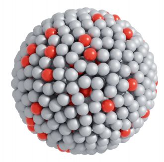 An atomic view of the catalytic system 