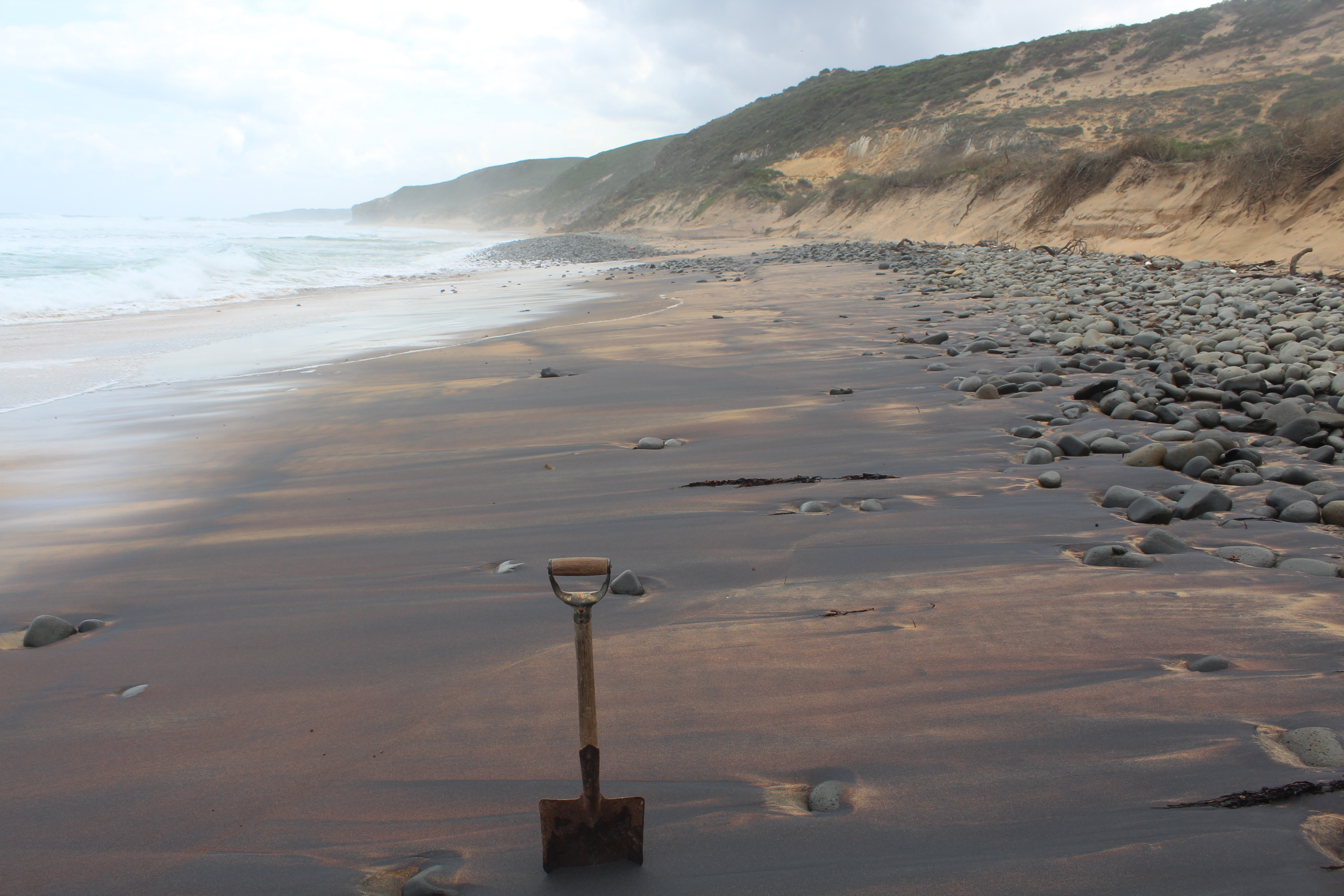A beach sand sample collection site near Augusta.