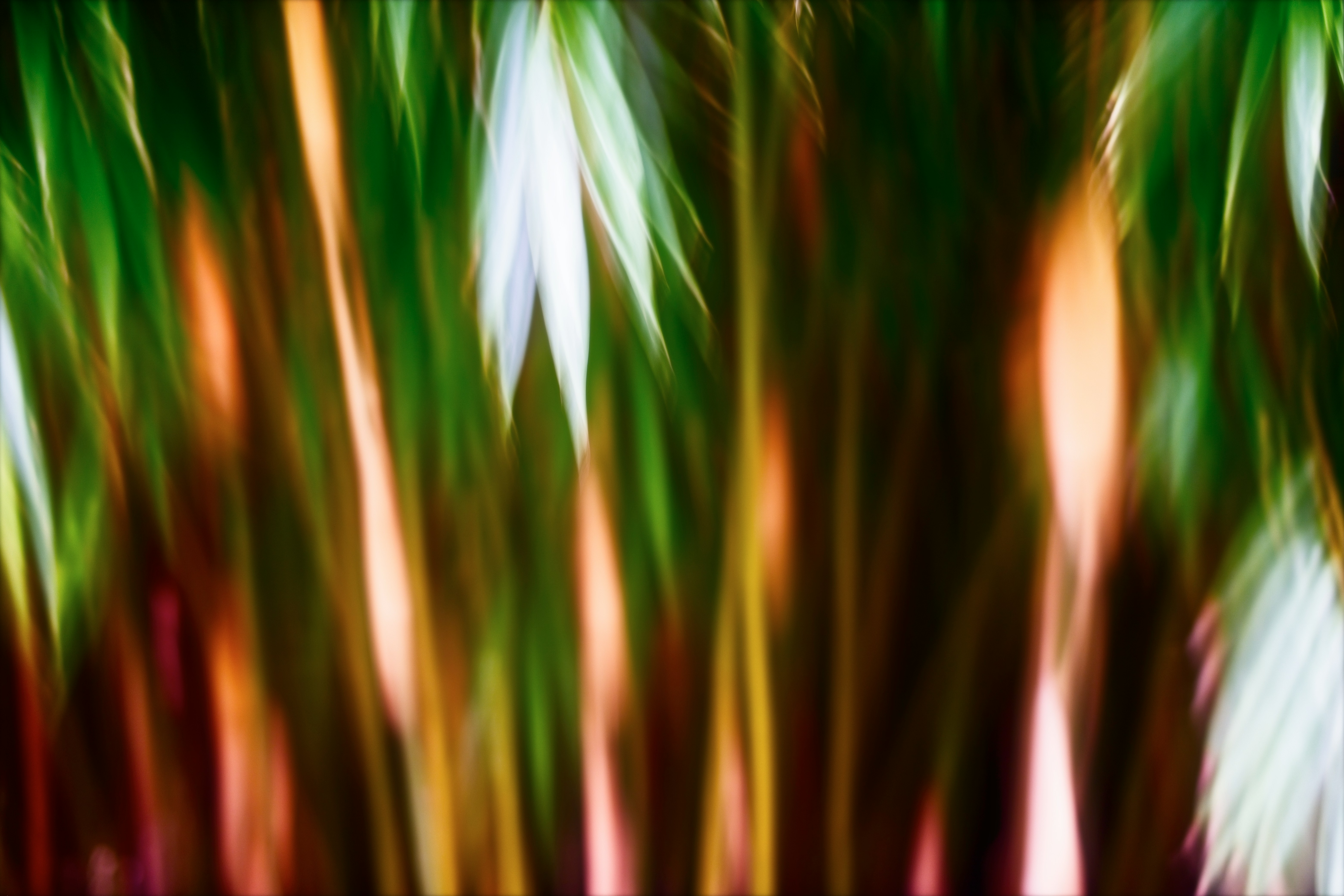 Photo by Robert Clark on Unsplash