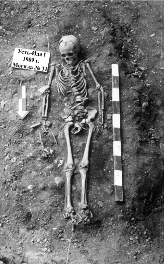 Skeleton of a 10-12 year old boy