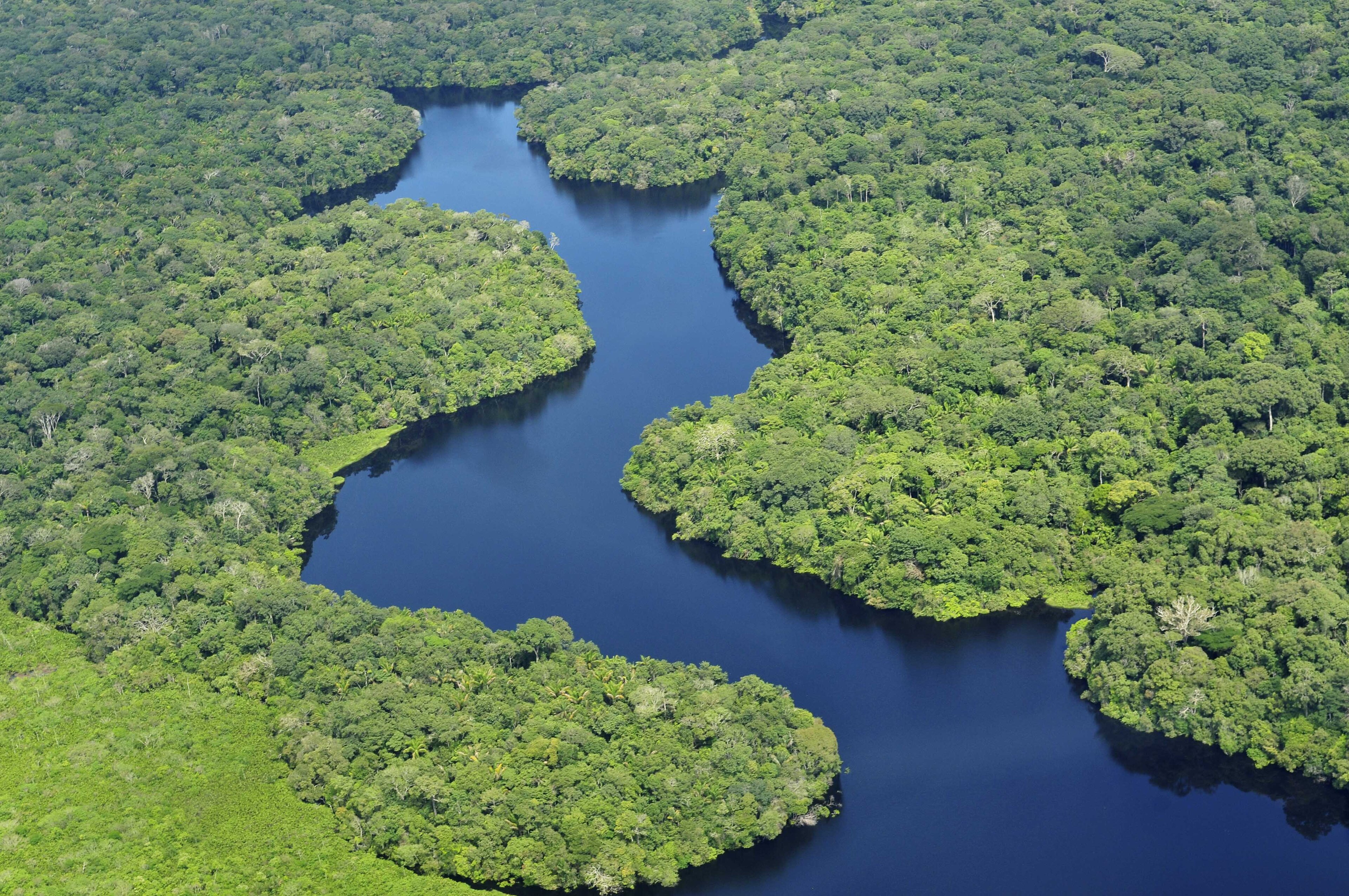 Neil Palmer/CIAT, CC BY-SA 2.0 <https://creativecommons.org/licenses/by-sa/2.0>, via Wikimedia Commons