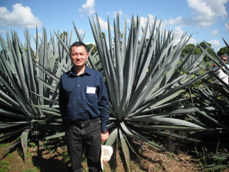 Associate Professor Daniel Tan with agave plants