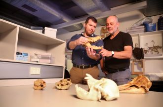 Professor Kris Helgen, Professor Tim Flannery examing mammal skulls