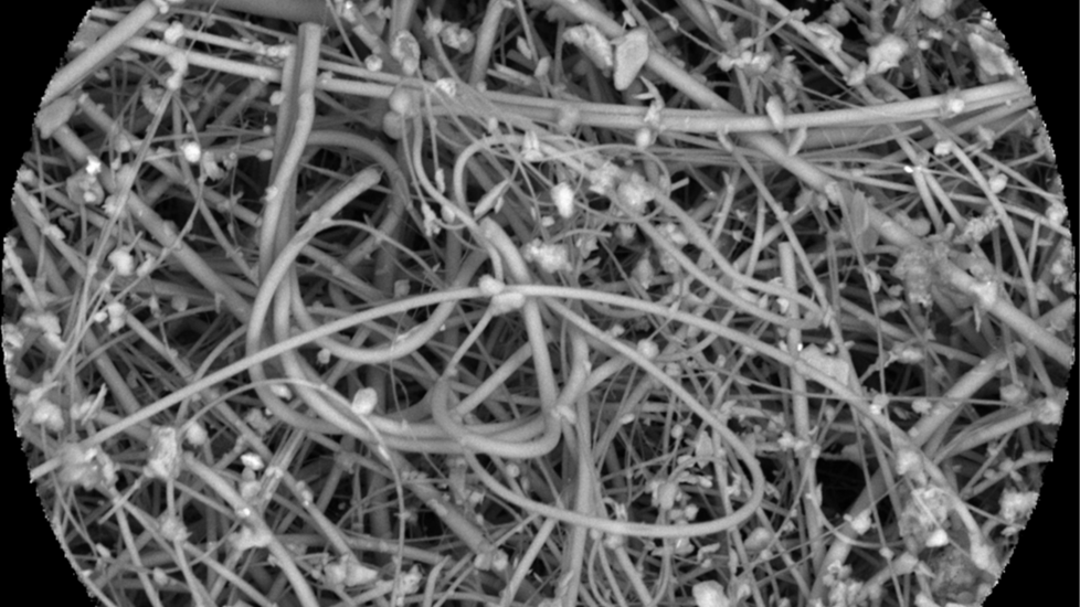 Electron microscope image of a quartz fiber filter with numerous micrometer-sized microplastic indoor dust particles. Attribution: Nadiia Yakovenko, CC-BY 4.0 (https://creativecommons.org/licenses/by/4.0/)