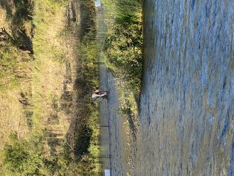 Researcher in field