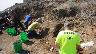 Researchers on-site at the excavation site in Hell Creek. 