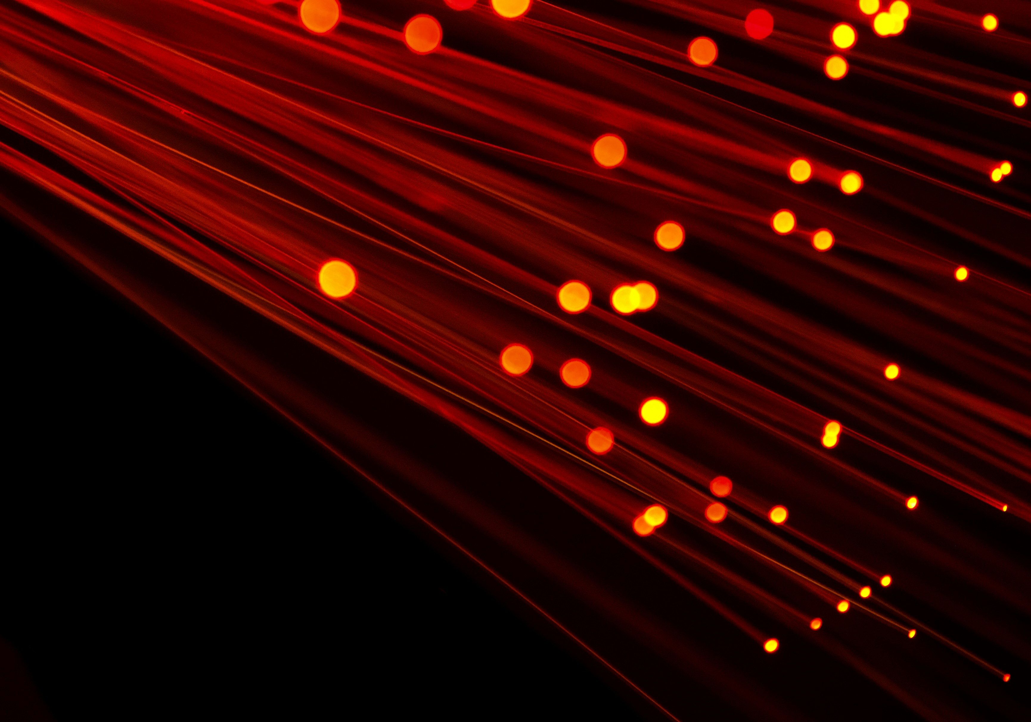 PHOTO: Compare Fibre on Unsplash