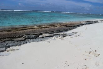 Photograph of exposed beach rock and coral