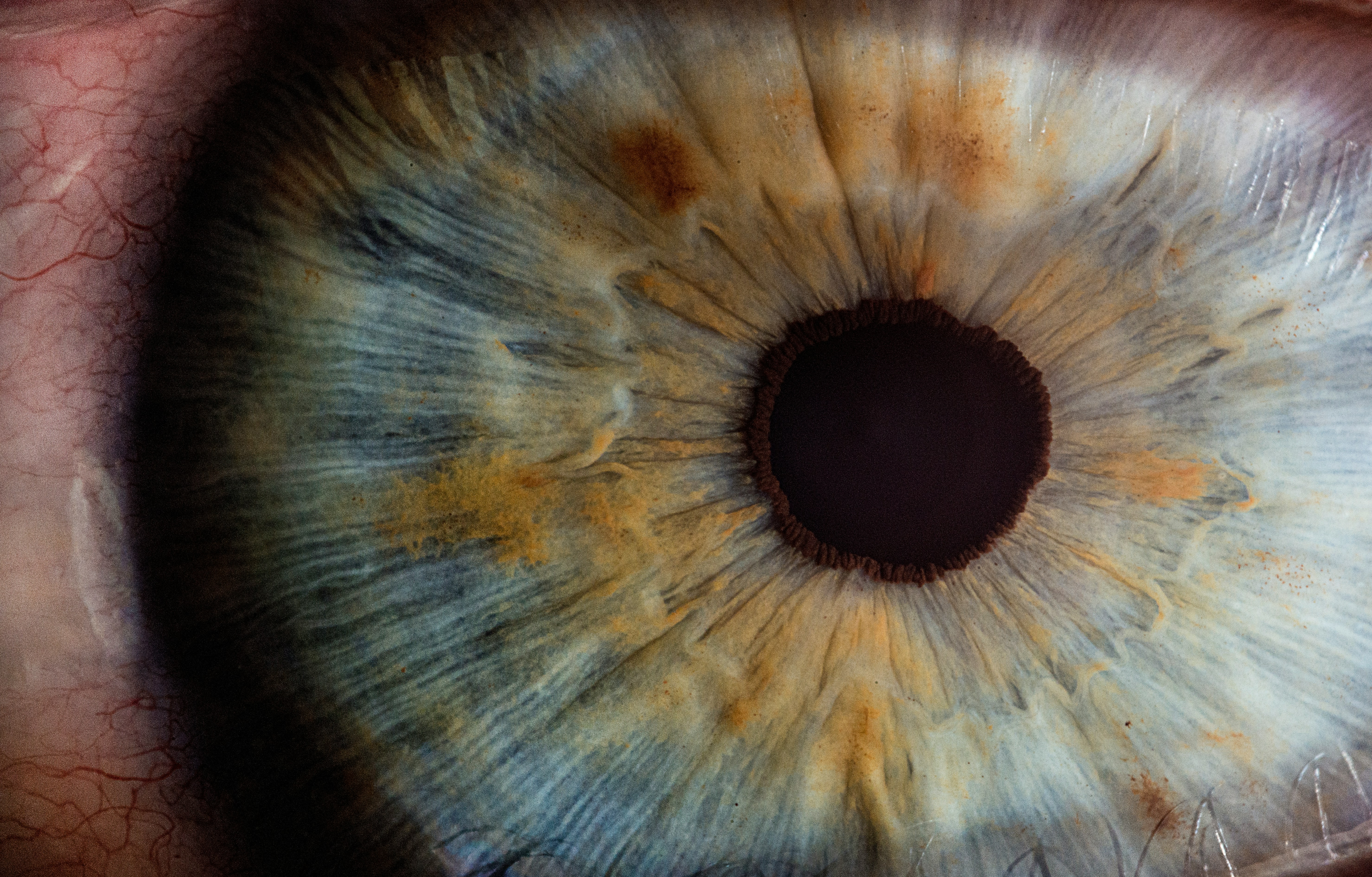 via Unsplash