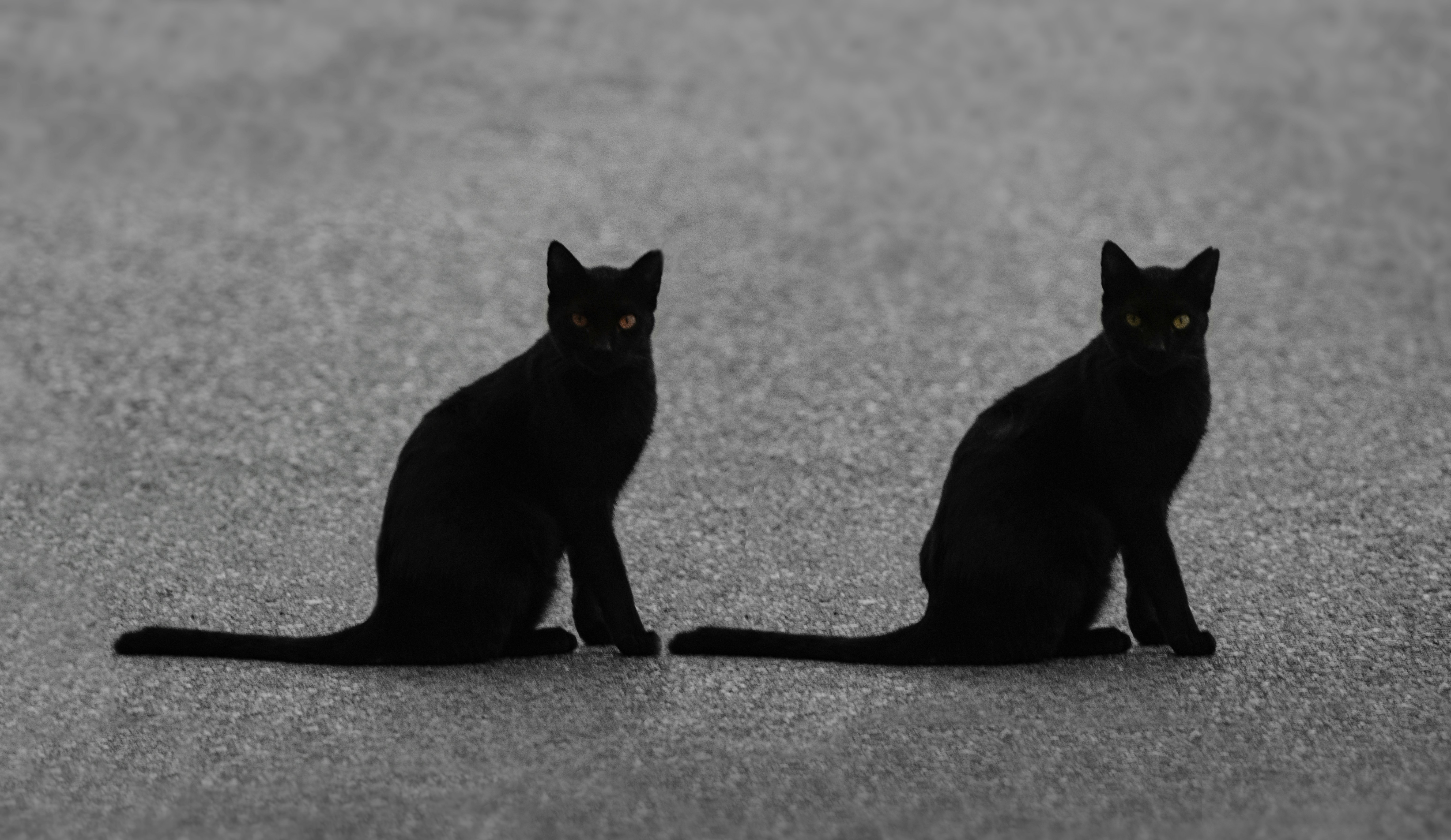 Photo by Viktor Talashuk on Unsplash
