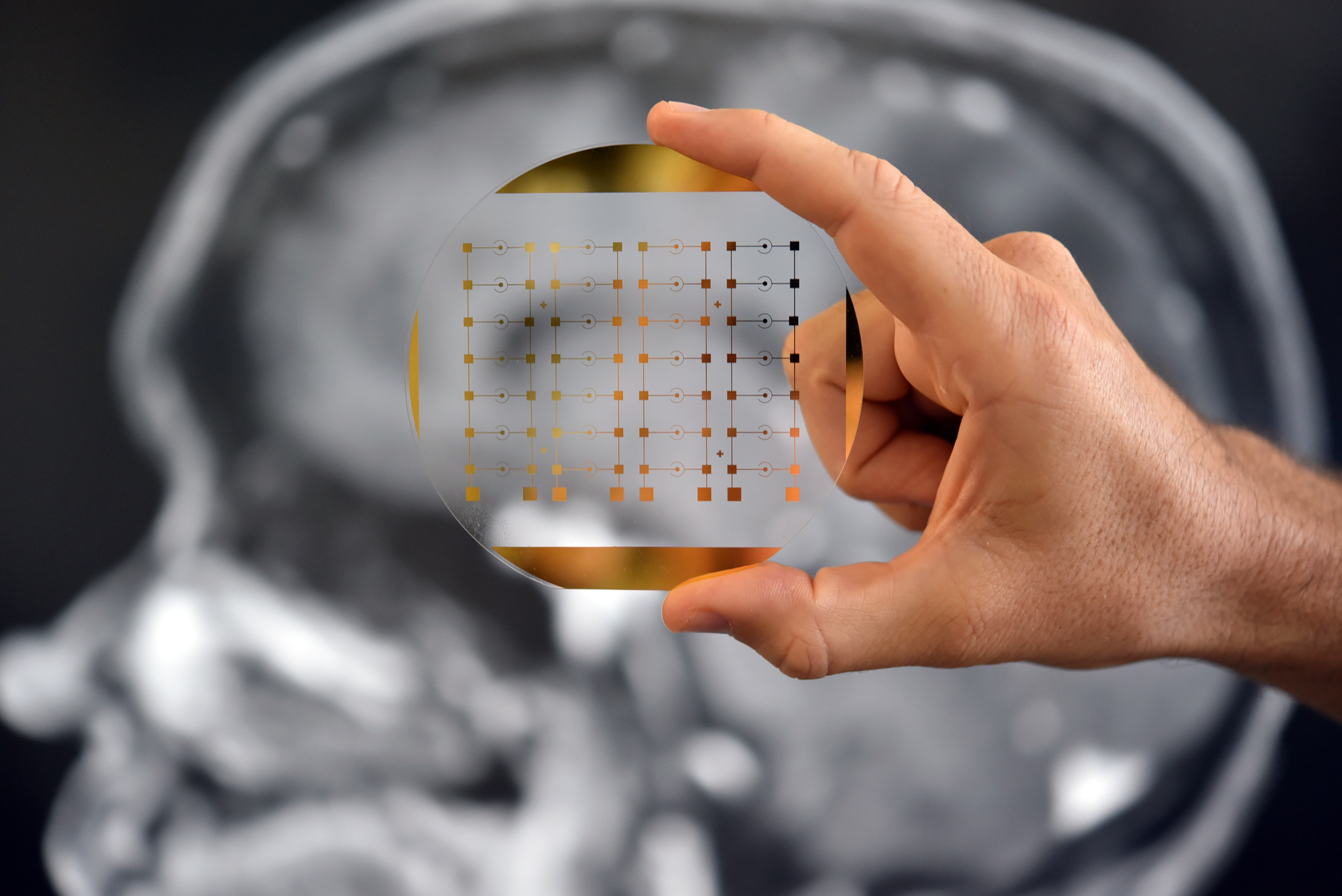 Photo by The University of Queensland