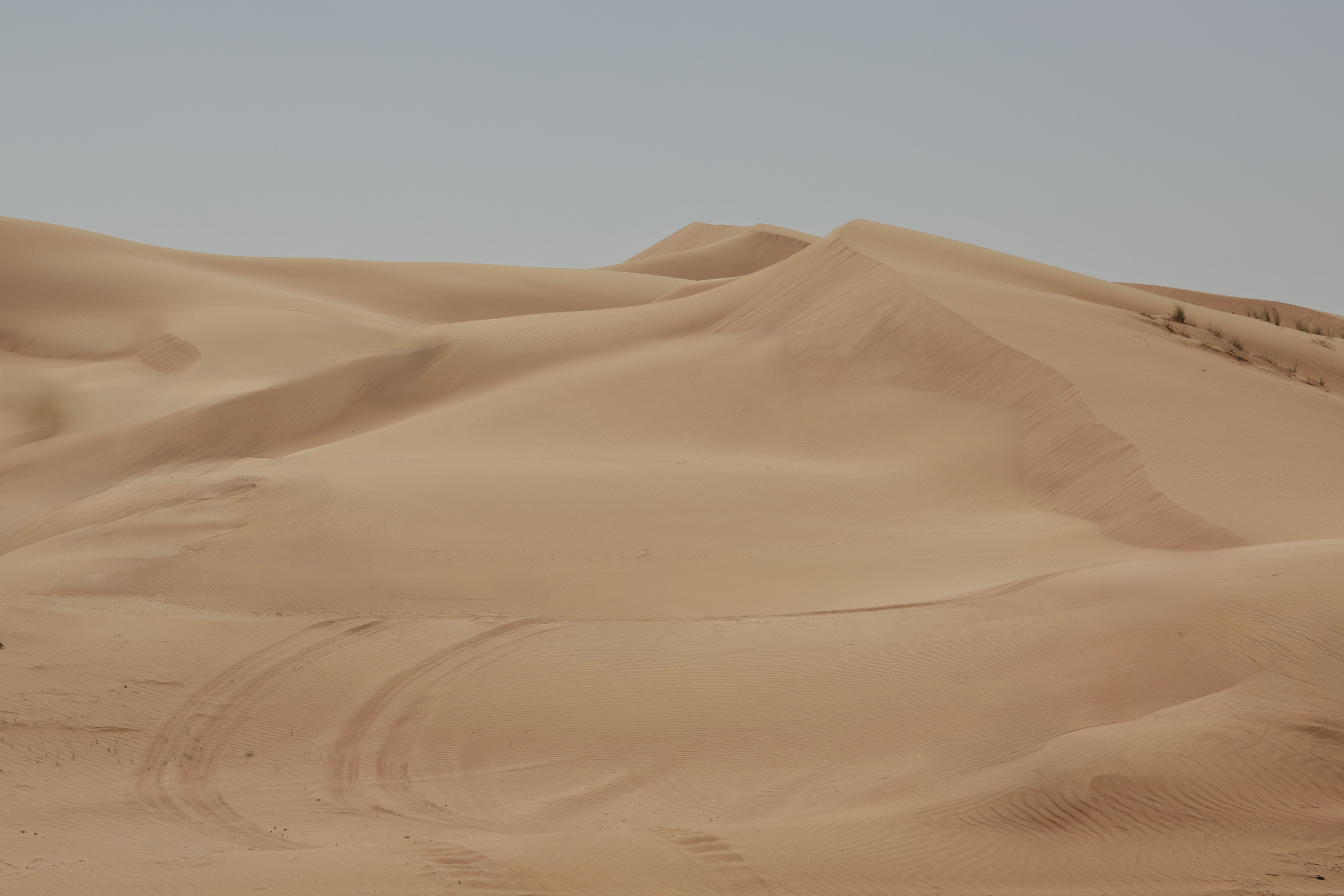 The sand deserts in the oil-rich Gulf countries present a practical paradox: though surrounded by almost boundless swathes of desert sand, much of it is not suitable for farming due to lack of water. Credit: Abdul Wahid Muhammad Ikram