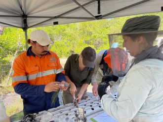 Studying mud samples