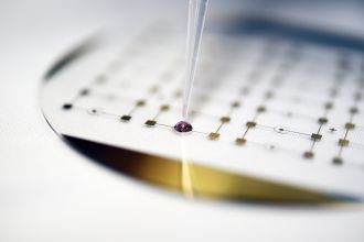 Phenotype Analyzer Chip 1