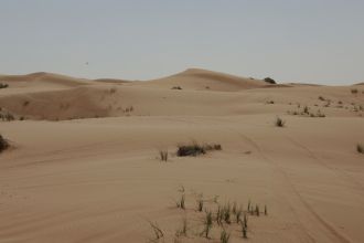 Swathes of Desert Sands