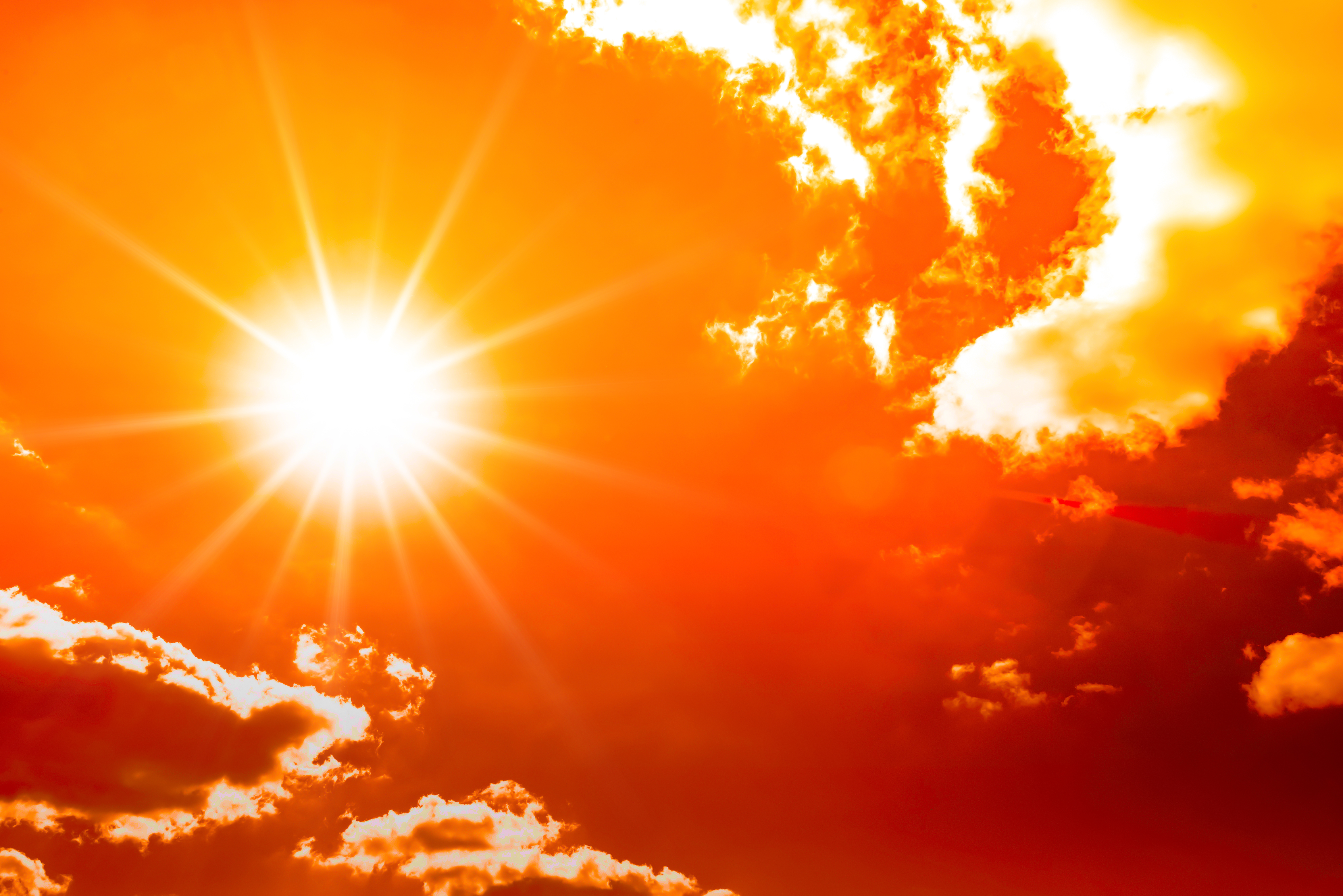 Photo: Günter Albers/stock.adobe.com