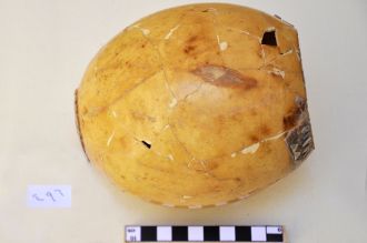 2nd millennium ostrich egg from Syria